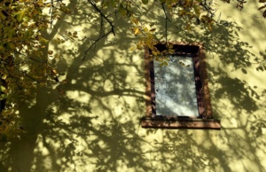 The dancing shadows: ‘All we hear is … silence’ The dancing shadows