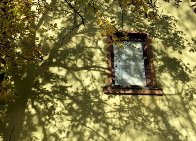 The dancing shadows