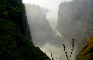 ‘Can’t get enough’ of intoxicating songs and sights intoxicating songs