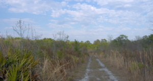 South Carolinian’s poems conjure views of the South South