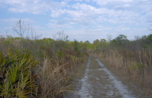 South Carolinian’s poems conjure views of the South South