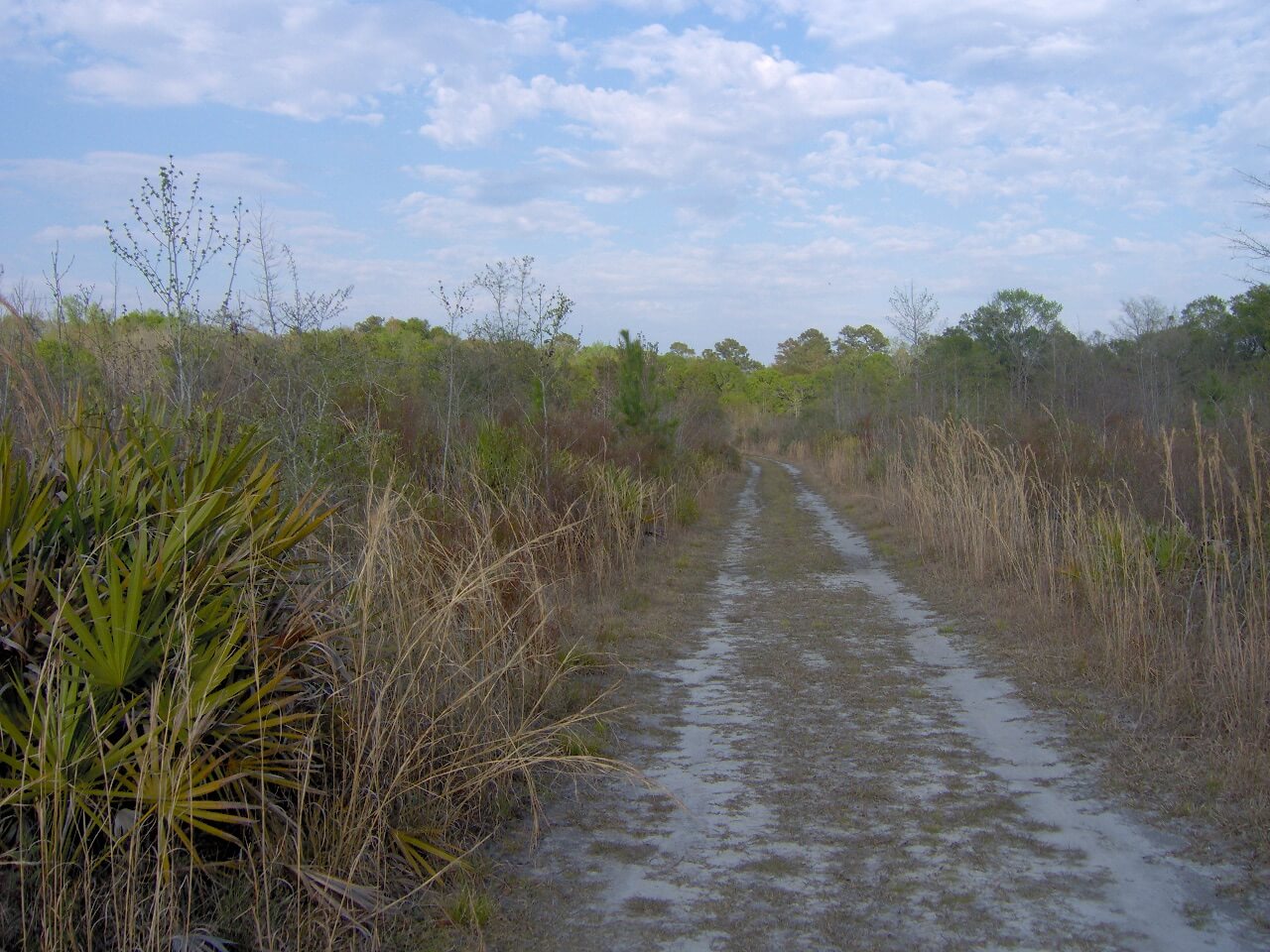 South