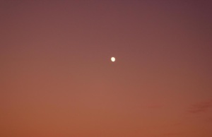 Zua: ‘It is his people’s time to come’ Zua