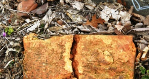 An appeal to a broken relationship broken