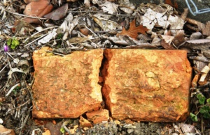 An appeal to a broken relationship broken