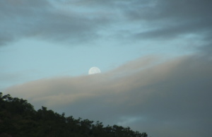 Daryl Ross Halencak poetry: ‘Sister Moon’ and ‘Private First Class’ Daryl Ross Halencak