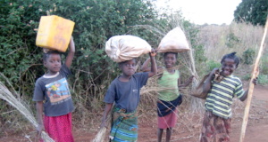 That Little Laborer: ‘A street urchin does not go to school’ That Little Laborer
