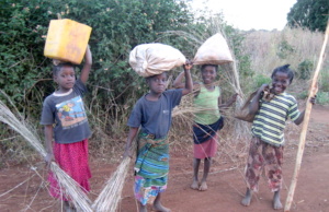 That Little Laborer: ‘A street urchin does not go to school’ That Little Laborer