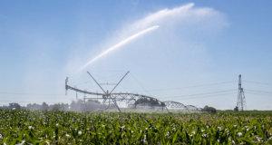 Farming activity contaminates water despite best practices Farming