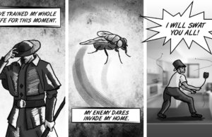 Sundaze: Assassin of the flies flies