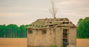 Nigerian poetry: ‘This house has fallen’ and ‘Ekun Iyawo’ Ekun Iyawo