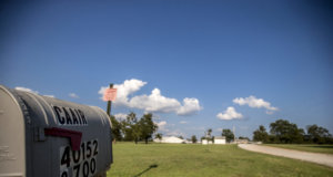 They thought they were going to rehab. They ended up in chicken plants chicken plant CAAIR