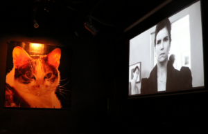 Norman Film Festival offered more than just movies Norman Film Festival