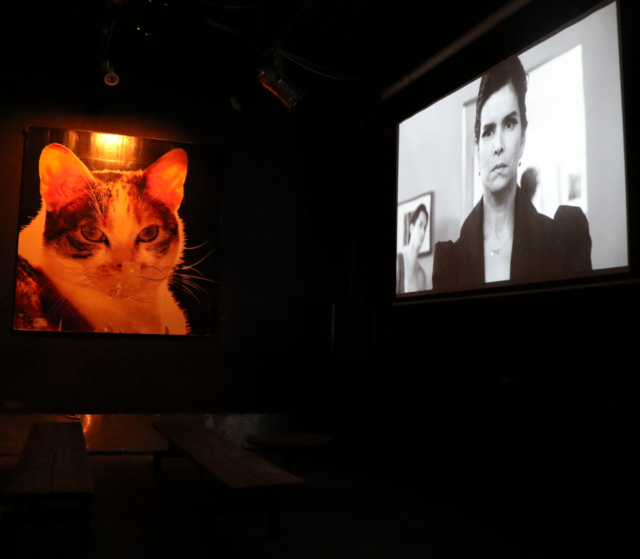 Norman Film Festival