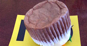 Thanksgiving: Serving up a debt of gratitude gratitude