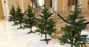 Fallin announces narrow special session scope special session