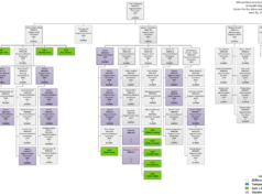 Agency ‘bloat’ included Fallin effort to remake public health public health