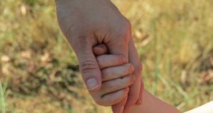 Survey says: Bring back teachers, high-quality teaching teachers