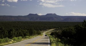 In defense of Earth: Governments decay life