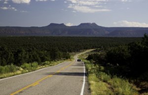 In defense of Earth: Governments decay life