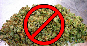 Effort forming to oppose SQ 788 on medical marijuana