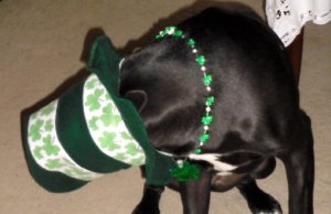 St. Patrick’s Day 2018: An OKC metro guide St. Patrick's Day 2018
