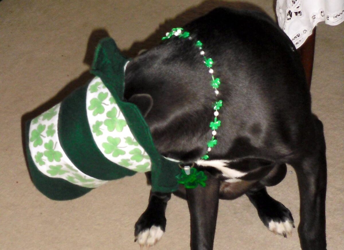 St. Patrick's Day 2018