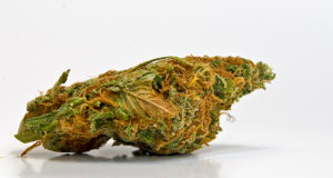 SQ 788: Chamber VP questions language, employer rights SQ 788