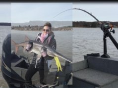 Paddlefish caviar: More than just fine dining