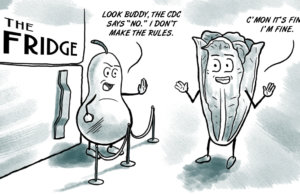 Incinerate romaine lettuce with a flamethrower romaine lettuce