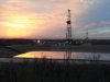 From worm to hand: Lessons of the oil patch oil field