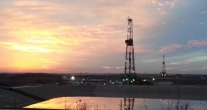 From worm to hand: Lessons of the oil patch oil field