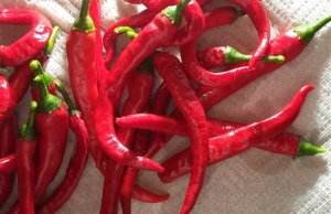 A humorous Kenyan tale: ‘I fear pepper, and here’s why’ pepper