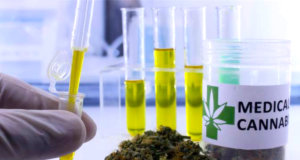 Potency caps, seed-to-sale vendor reboot among Legislature’s 2023 marijuana measures 2023 marijuana measures