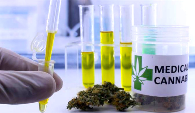 2023 marijuana measures