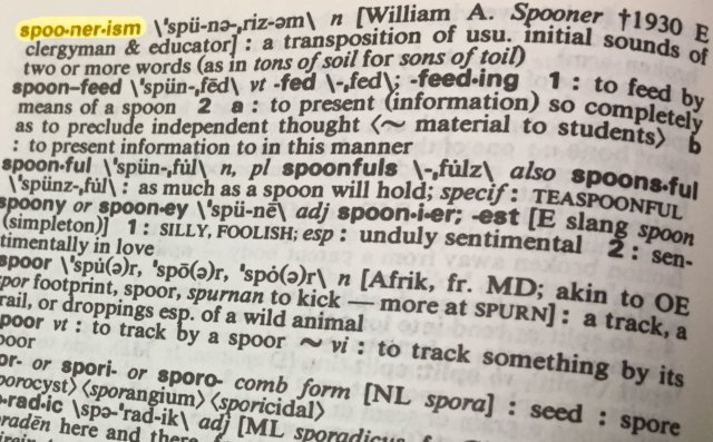spoonerisms
