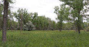 Photo essay: Denver’s Cherry Creek State Park Cherry Creek State Park