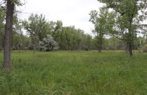 Photo essay: Denver’s Cherry Creek State Park Cherry Creek State Park