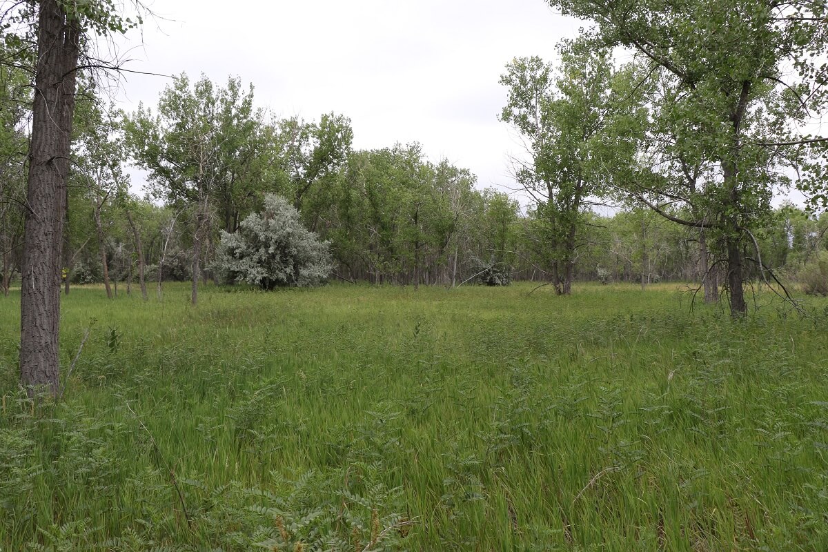 Cherry Creek State Park