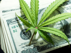 Cash will be king for medical marijuana industry in OK medical marijuana industry