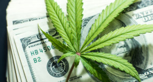 Cash will be king for medical marijuana industry in OK medical marijuana industry