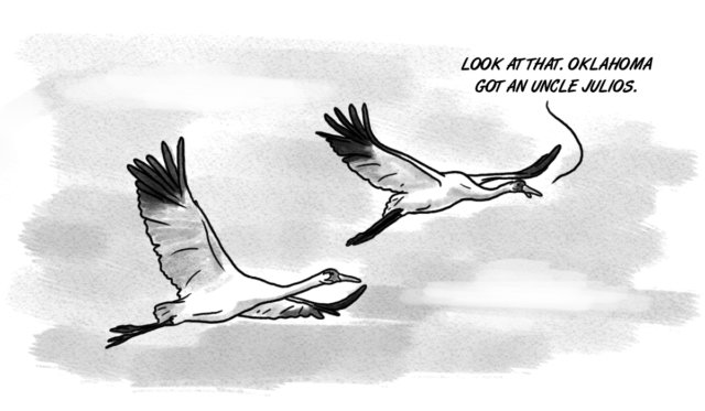 Whooping cranes Uncle Julio's