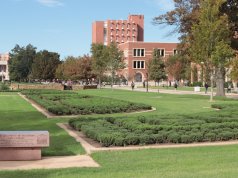 Many factors: International student enrollment down at American universities international student enrollment