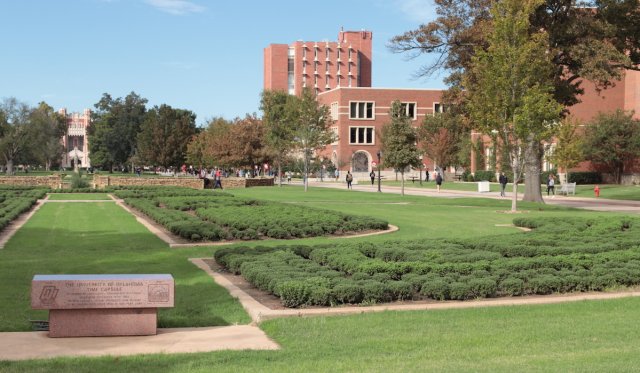 international student enrollment