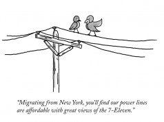 New Yorker homage: Birds of a feather draw together New Yorker