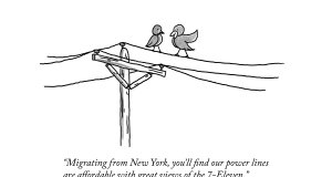 New Yorker homage: Birds of a feather draw together New Yorker