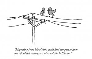New Yorker homage: Birds of a feather draw together New Yorker