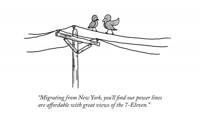 New Yorker