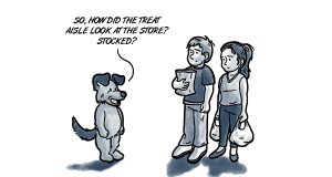 Quarantine quandary: Are your pets sick of you yet? Are your pets sick of you yet?