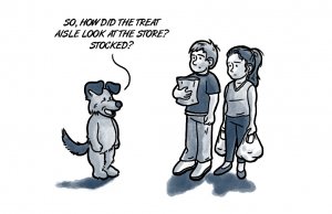 Quarantine quandary: Are your pets sick of you yet? Are your pets sick of you yet?